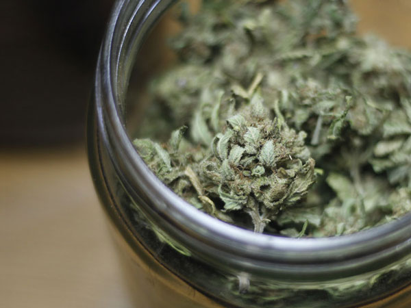 Cannabico Alcohol 