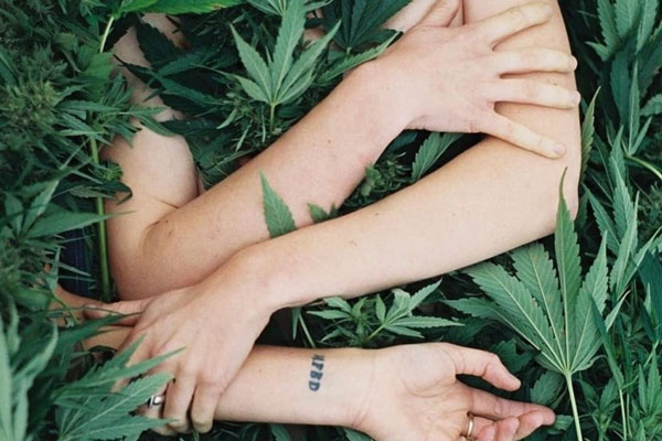 Ciencia: ¿el cannabis mejora el sexo?